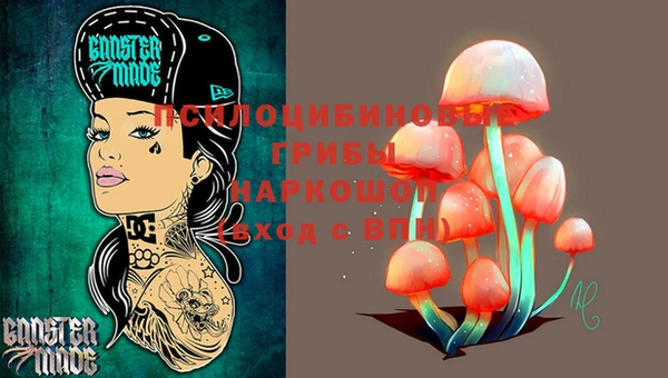 прущий лед Аркадак